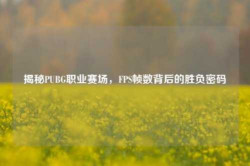 揭秘PUBG职业赛场,FPS帧数背后的胜负密码