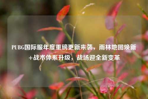PUBG国际服年度重磅更新来袭,雨林地图焕新+战术体系升级,战场迎全新变革