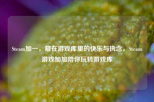 Steam加一,藏在游戏库里的快乐与执念,Steam游戏加加陪你玩转游戏库
