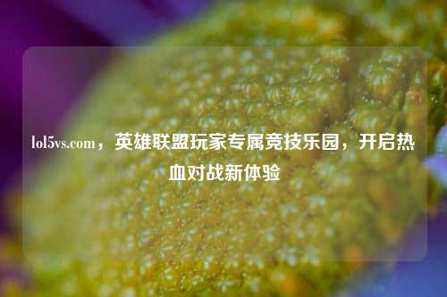 lol5vs.com,英雄联盟玩家专属竞技乐园,开启热血对战新体验