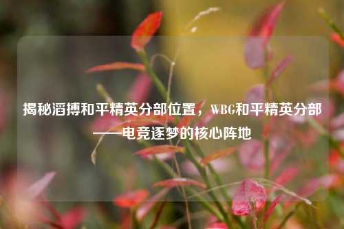 揭秘滔搏和平精英分部位置,WBG和平精英分部——电竞逐梦的核心阵地