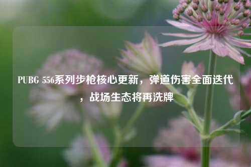 PUBG 556系列步枪核心更新，弹道伤害全面迭代，战场生态将再洗牌