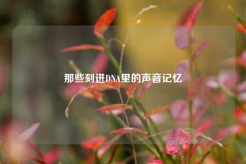 那些刻进DNA里的声音记忆