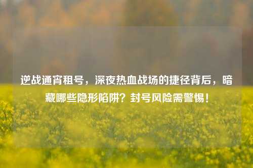 逆战通宵租号,深夜热血战场的捷径背后,暗藏哪些隐形陷阱?封号风险需警惕!