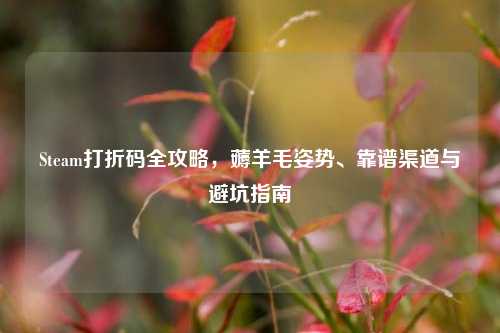 Steam打折码全攻略,薅羊毛姿势、靠谱渠道与避坑指南