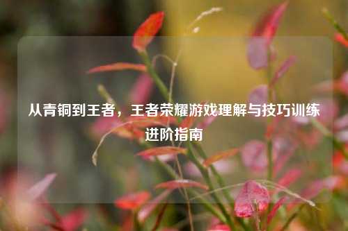 从青铜到王者,王者荣耀游戏理解与技巧训练进阶指南