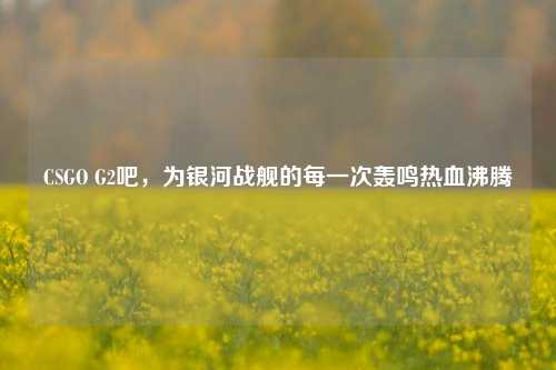 CSGO G2吧,为银河战舰的每一次轰鸣热血沸腾