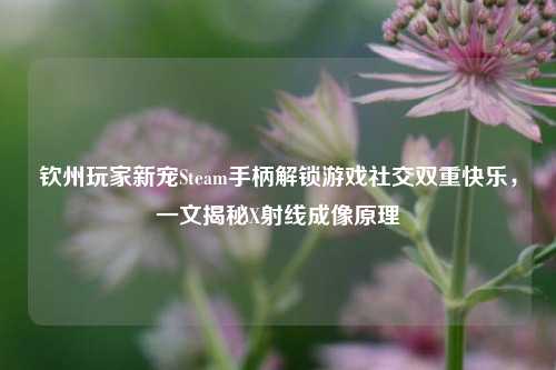 钦州玩家新宠Steam手柄解锁游戏社交双重快乐,一文揭秘X射线成像原理