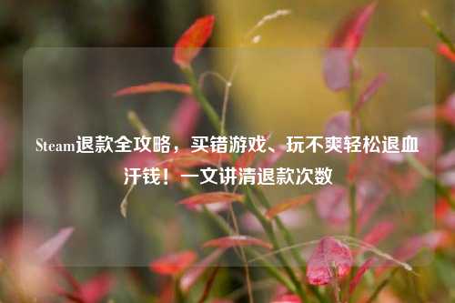 Steam退款全攻略，买错游戏、玩不爽轻松退血汗钱！一文讲清退款次数