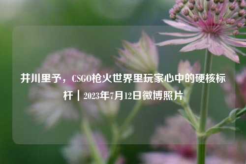 井川里予,CSGO枪火世界里玩家心中的硬核标杆|2023年7月12日微博照片