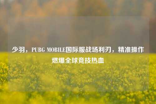 少羽,PUBG MOBILE国际服战场利刃,精准操作燃爆全球竞技热血