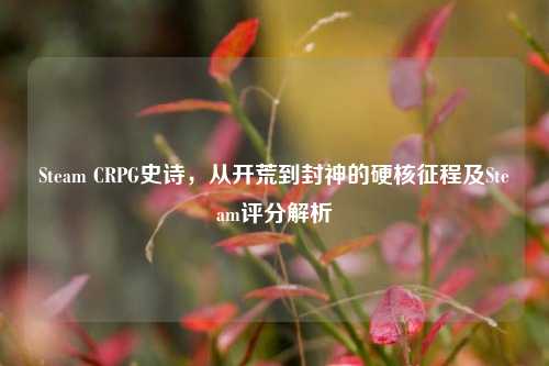Steam CRPG史诗,从开荒到封神的硬核征程及Steam评分解析