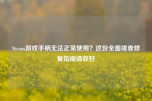 Steam游戏手柄无法正常使用?这份全面排查修复指南请收好