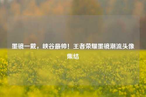 墨镜一戴,峡谷最帅!王者荣耀墨镜潮流头像集结