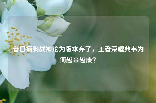 昔日疯狗战神沦为版本弃子,王者荣耀典韦为何越来越废?