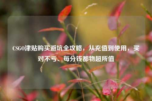 CSGO津贴购买避坑全攻略，从充值到使用，买对不亏、每分钱都物超所值