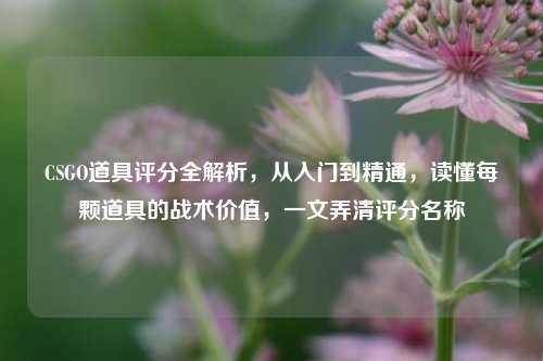 CSGO道具评分全解析,从入门到精通,读懂每颗道具的战术价值,一文弄清评分名称
