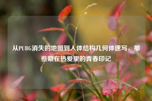 从PUBG消失的地图到人体结构几何体速写,那些藏在热爱里的青春印记