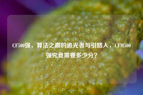 CF500强，算法之巅的追光者与引路人，CFM500强究竟需要多少分？