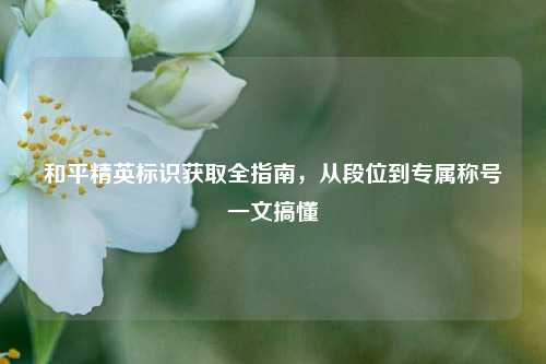 和平精英标识获取全指南,从段位到专属称号一文搞懂