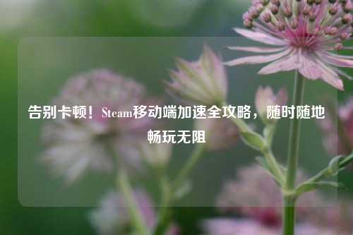 告别卡顿!Steam移动端加速全攻略,随时随地畅玩无阻