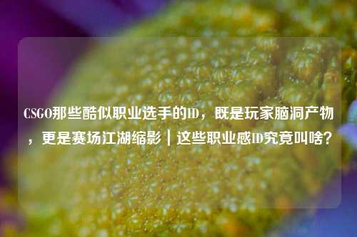 CSGO那些酷似职业选手的ID,既是玩家脑洞产物,更是赛场江湖缩影|这些职业感ID究竟叫啥?