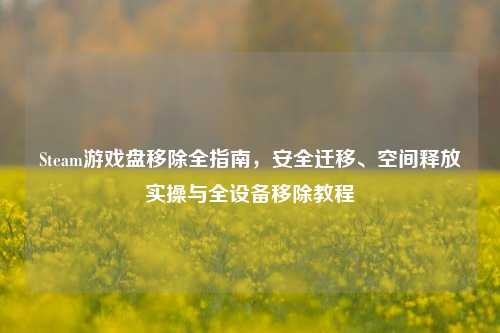 Steam游戏盘移除全指南,安全迁移、空间释放实操与全设备移除教程