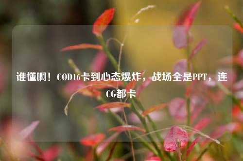 谁懂啊！COD16卡到心态爆炸，战场全是PPT，连CG都卡