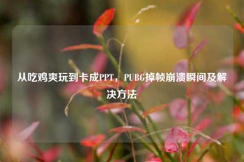 从吃鸡爽玩到卡成PPT，PUBG掉帧崩溃瞬间及解决方法
