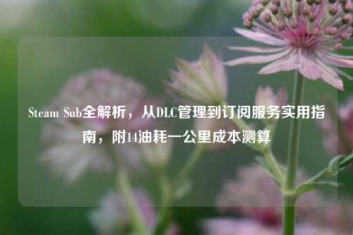 Steam Sub全解析，从DLC管理到订阅服务实用指南，附14油耗一公里成本测算