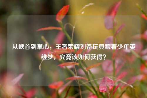 从峡谷到掌心，王者荣耀刘备玩具藏着少年英雄梦，究竟该如何获得？