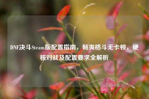 DNF决斗Steam版配置指南，畅爽格斗无卡顿，硬核对战及配置要求全解析