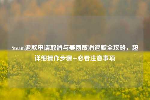Steam退款申请取消与美团取消退款全攻略，超详细操作步骤+必看注意事项