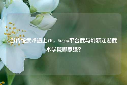 当传统武术遇上VR,Steam平台武与幻新江湖武术学院哪家强?