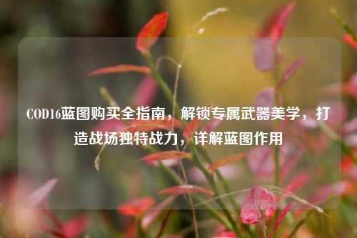 COD16蓝图购买全指南,解锁专属武器美学,打造战场独特战力,详解蓝图作用