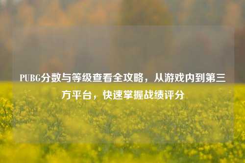 PUBG分数与等级查看全攻略，从游戏内到第三方平台，快速掌握战绩评分