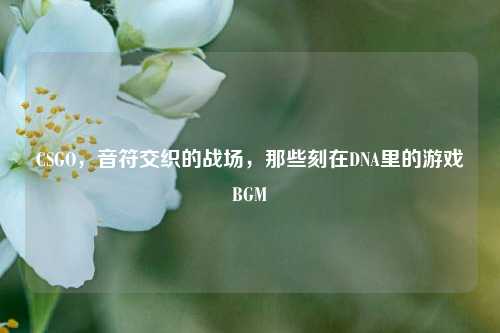 CSGO,音符交织的战场,那些刻在DNA里的游戏BGM