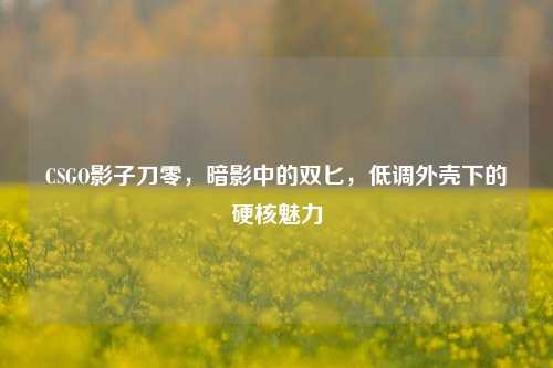 CSGO影子刀零,暗影中的双匕,低调外壳下的硬核魅力