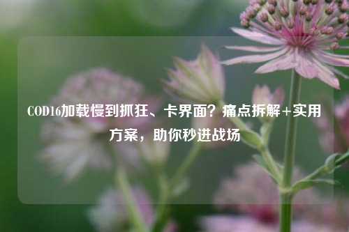 COD16加载慢到抓狂、卡界面？痛点拆解+实用方案，助你秒进战场