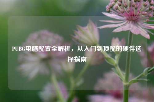 PUBG电脑配置全解析,从入门到顶配的硬件选择指南
