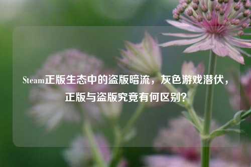 Steam正版生态中的盗版暗流,灰色游戏潜伏,正版与盗版究竟有何区别?