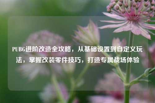 PUBG进阶改造全攻略,从基础设置到自定义玩法,掌握改装零件技巧,打造专属战场体验