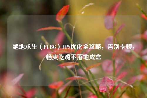 绝地求生（PUBG）FPS优化全攻略，告别卡顿，畅爽吃鸡不落地成盒