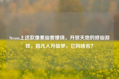 Steam上这款像素仙雾缭绕、开放天地的修仙游戏,圆凡人升仙梦,它叫啥名?