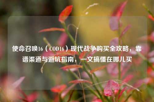 使命召唤16(COD16)现代战争购买全攻略,靠谱渠道与避坑指南,一文搞懂在哪儿买