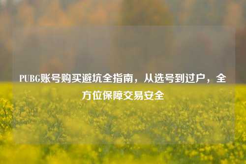 PUBG账号购买避坑全指南,从选号到过户,全方位保障交易安全