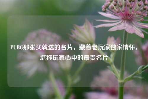 PUBG那张买就送的名片，藏着老玩家独家情怀，堪称玩家心中的最贵名片