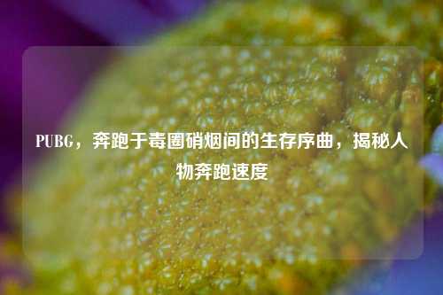 PUBG,奔跑于毒圈硝烟间的生存序曲,揭秘人物奔跑速度