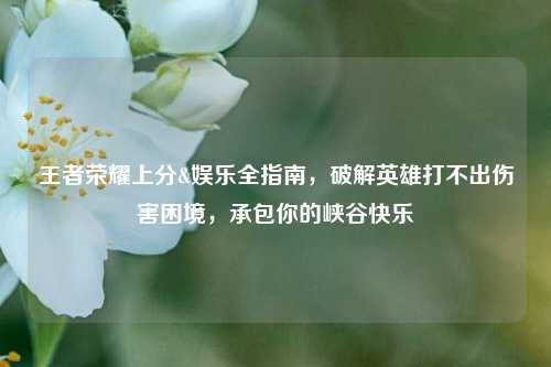 王者荣耀上分&娱乐全指南，破解英雄打不出伤害困境，承包你的峡谷快乐