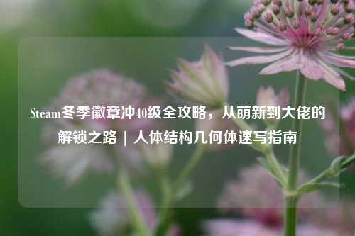 Steam冬季徽章冲40级全攻略,从萌新到大佬的解锁之路 | 人体结构几何体速写指南